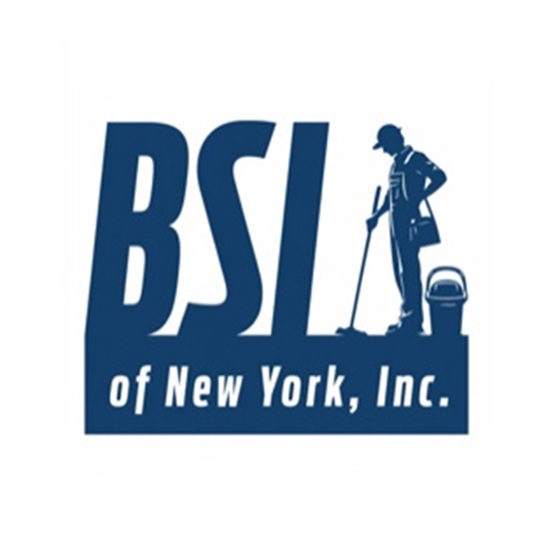 BSI of New York logo