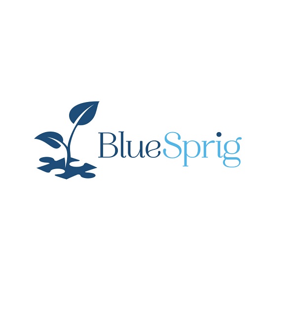 Florida Autism Center Tallahassee, a division of BlueSprig logo