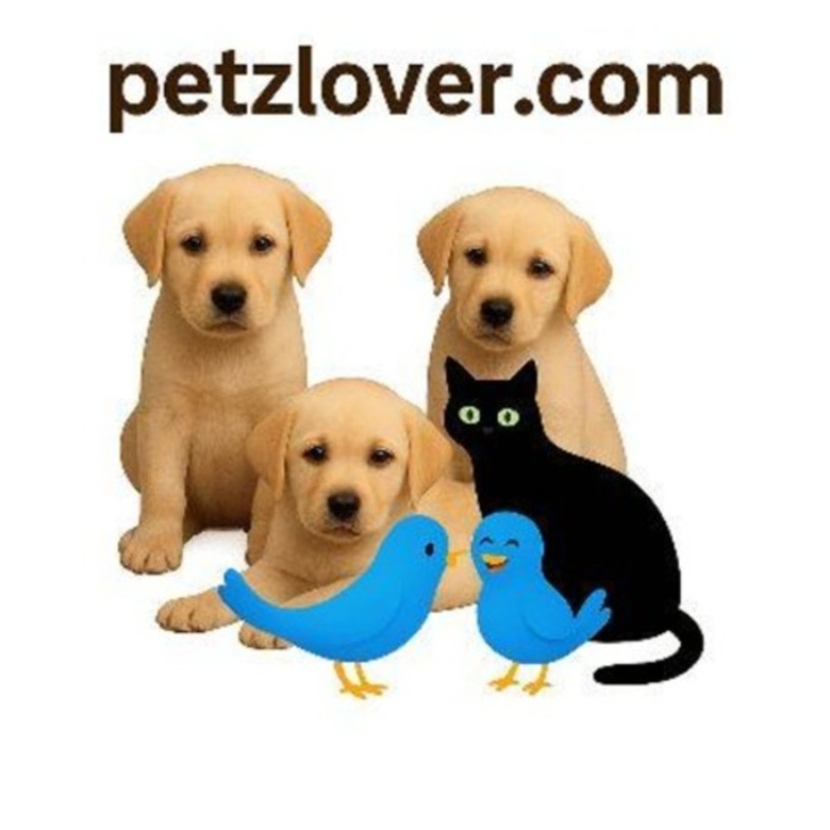 Petzlover logo