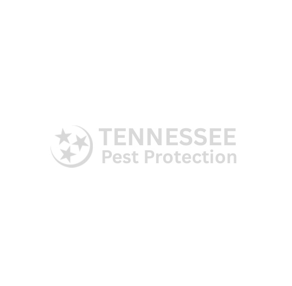 Tennessee Pest Protection logo