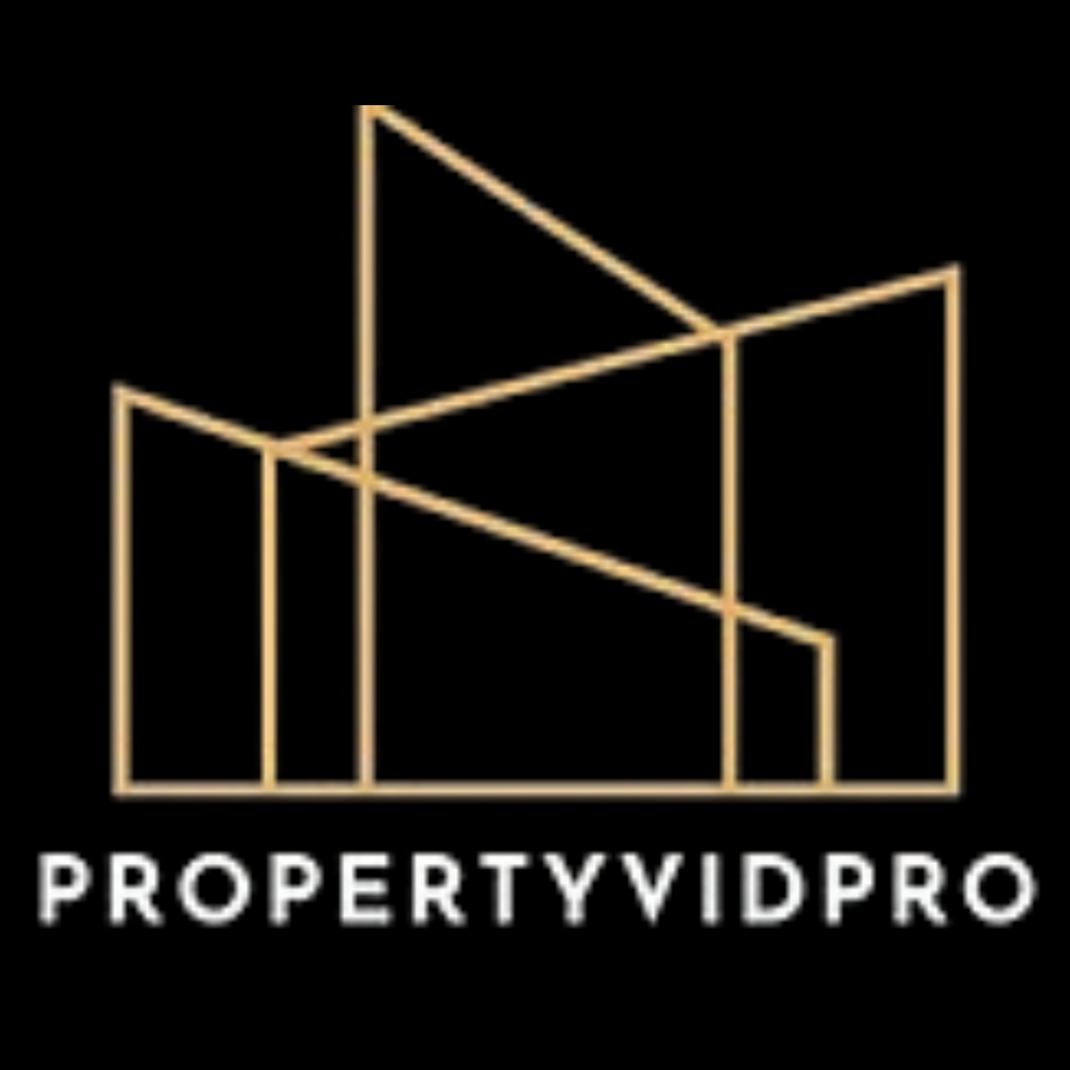 PropertyVidPro logo