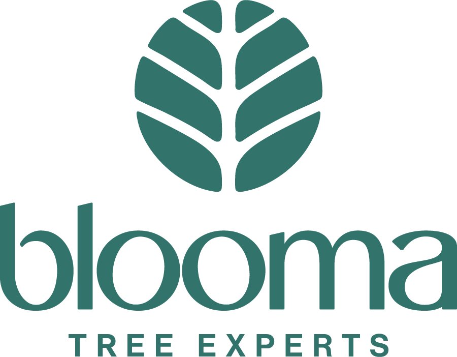 Blooma Tree Experts logo