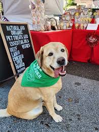 Antibiotic Free Pet Treats logo