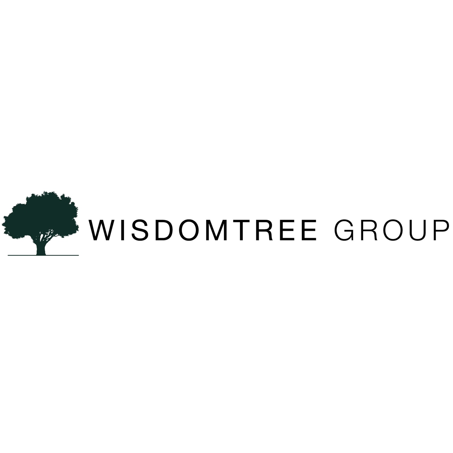 The WisdomTree Group logo