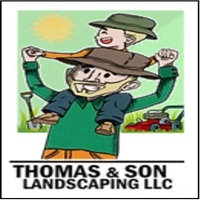 Thomas and Son Landscaping LLC logo
