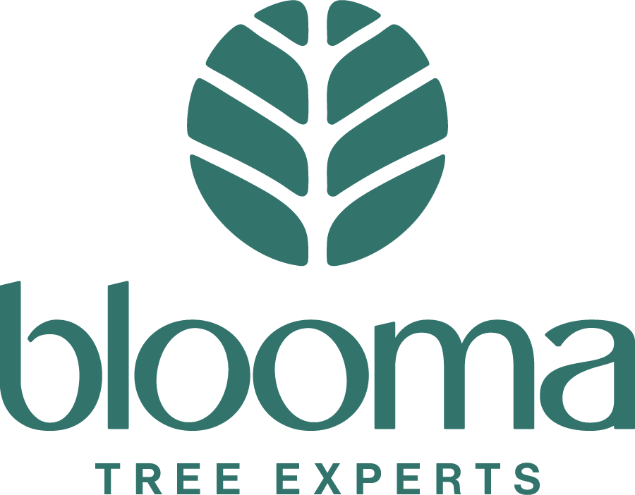 Blooma Tree Experts logo