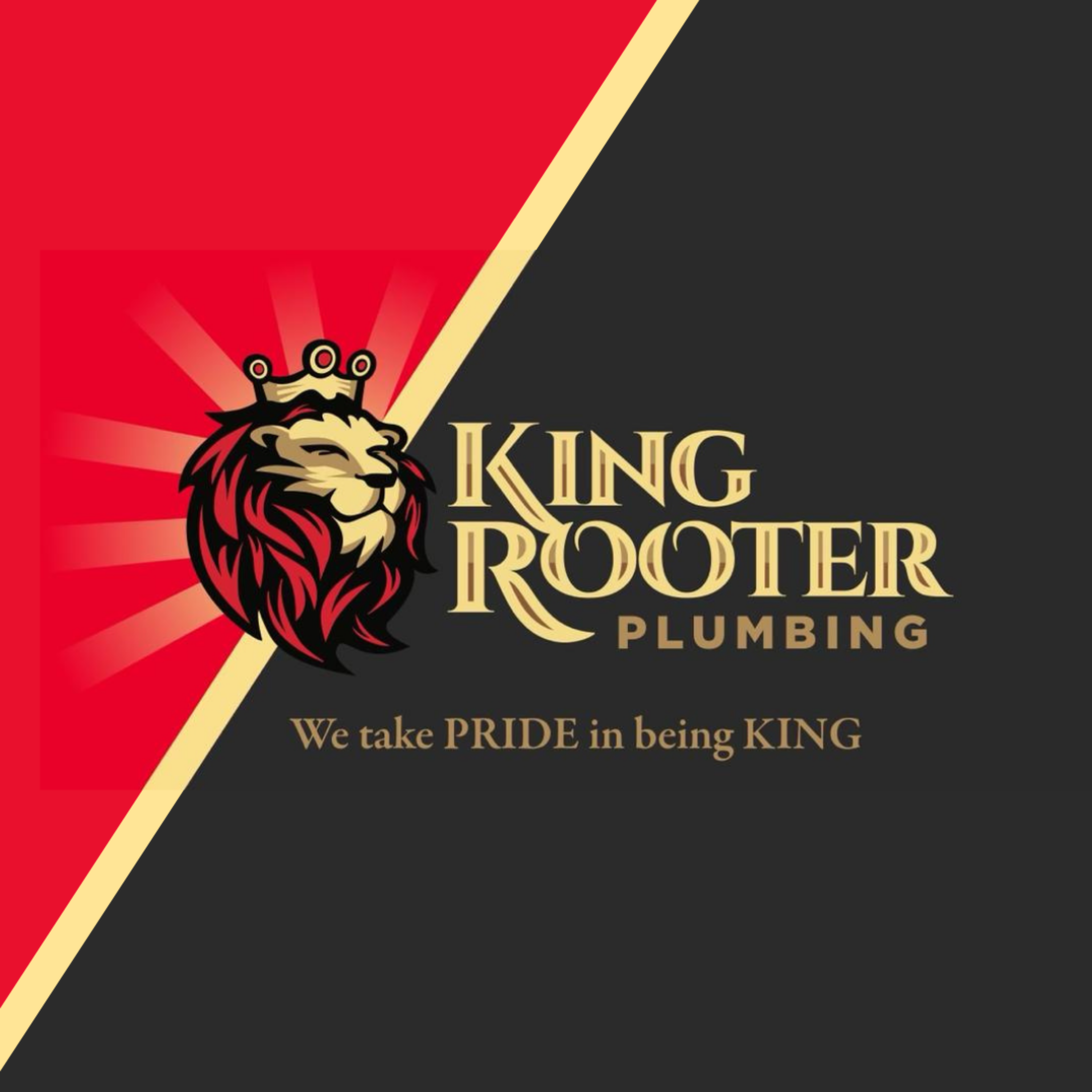 King Rooter Drain Sewer and Pipelining logo