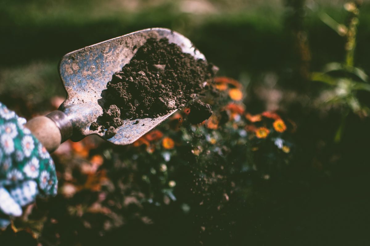 Digging into soil with a shovel, the work that requires an 811 locate request first