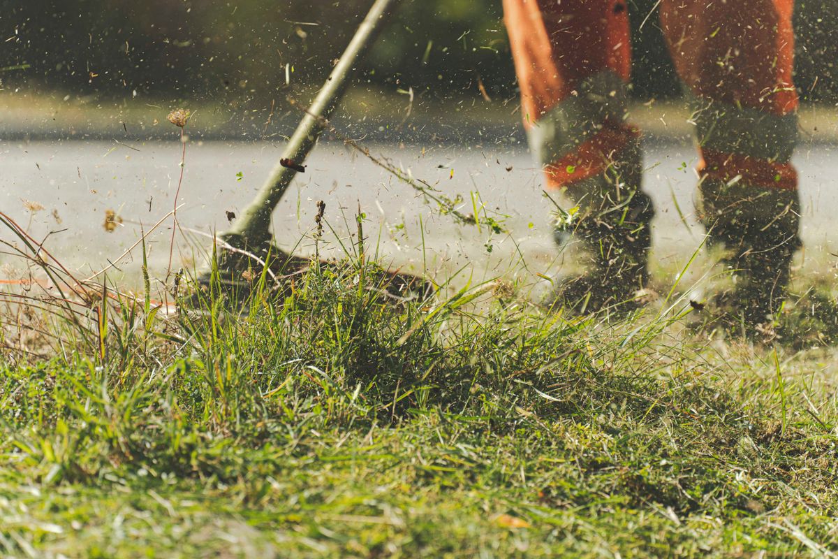 A person using a lawn mower on a treated, maintained lawn