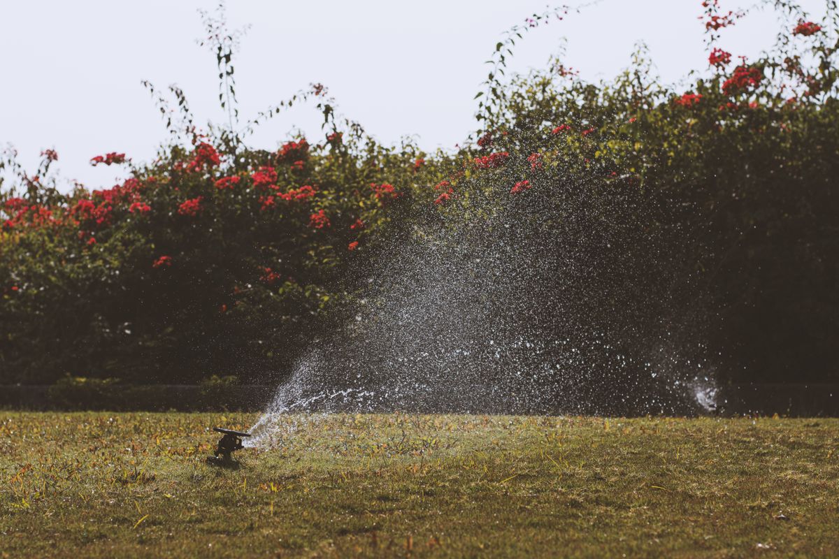 A sprinkler watering a lawn, where much of the water can be lost to wind and evaporation