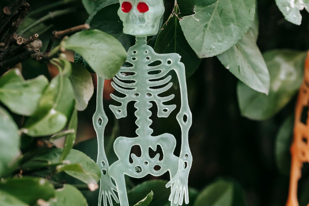 Guests in costume at a Halloween party